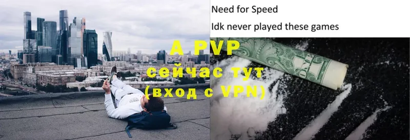 A-PVP СК  Гатчина 