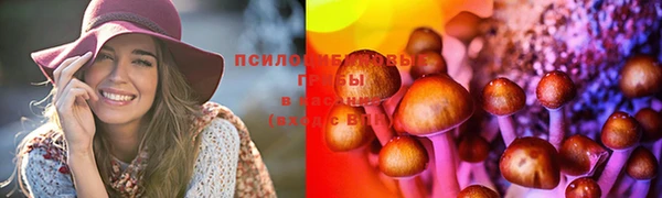 дурь Верхнеуральск