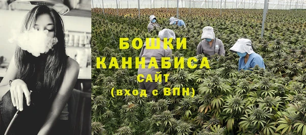 мяу мяу кристалл Бородино