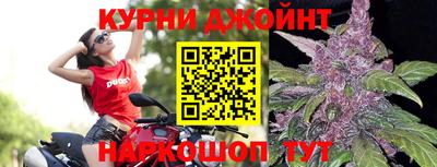 гидра Балахна