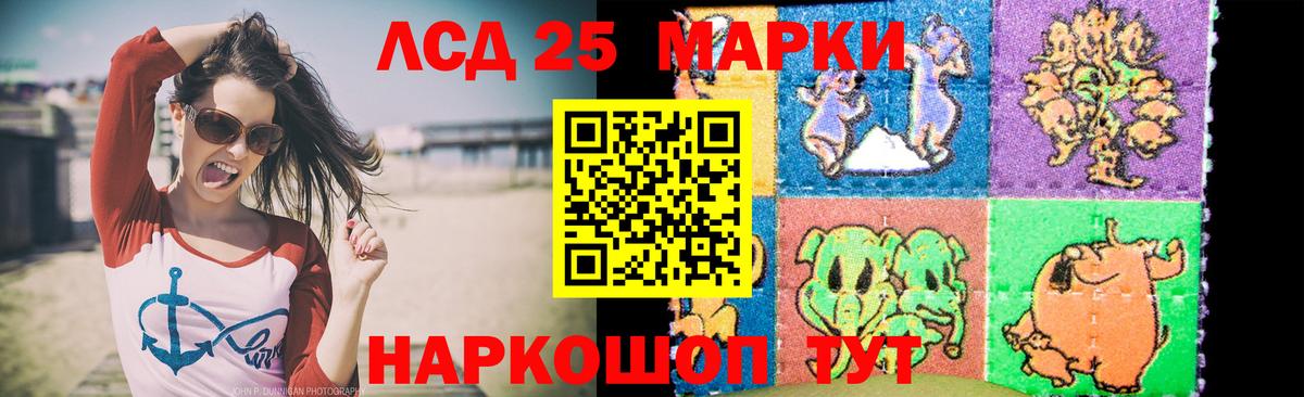 LSD-25 экстази ecstasy  Вход с VPN  Лсд 25 экстази ecstasy  Гатчина 
