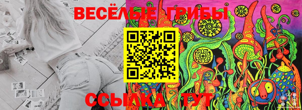Галлюциногенные грибы GOLDEN TEACHER  Псилоцибиновые грибы мухоморы  цена   Вход с VPN  Гатчина 
