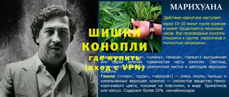 Канабис LSD WEED  дарнет шоп  Гатчина 